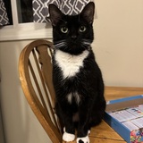 Entry image for Missy