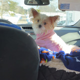 Entry image for Lulu