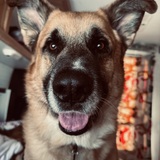Entry image for Axel 