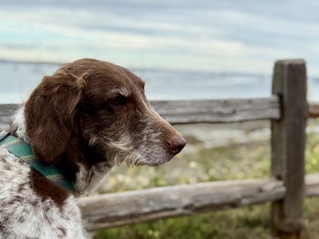 Entry image for Odin. Clicking this image will show a larger photo