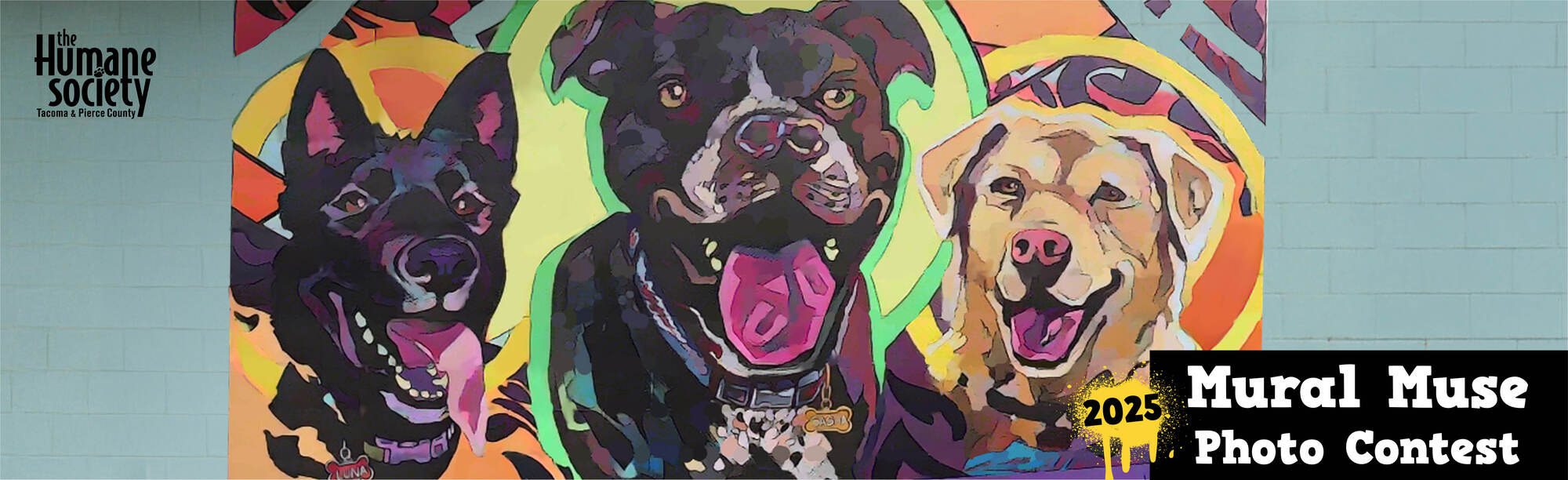 Banner for Mural Muse Photo Contest