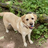 Entry image for Paige