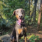 Entry image for  Franco 