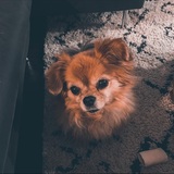 Entry image for Alice