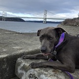 Entry image for Lynette Montgomery 