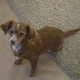 Entry image for Faith