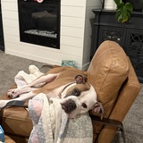 Entry image for Addie Mae