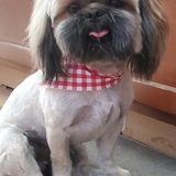 Entry image for Tuggy Bear