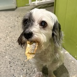 Entry image for Timba