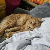 Entry image for Lloyd