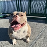 Entry image for Tina