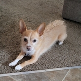 Entry image for Bonney