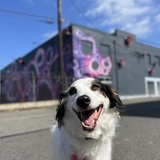 Entry image for Sophie