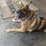 Entry image for Oliver Twist Bartlett 