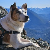 Entry image for Keller