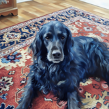 Entry image for Bernadine (Bernie)