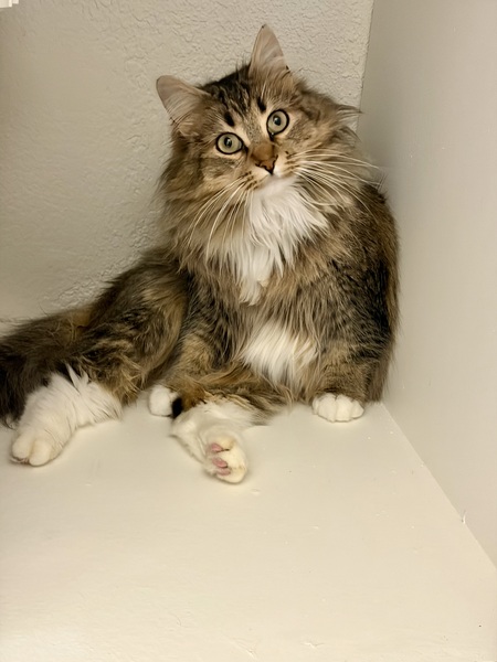 Entry image for Bo. Clicking this image will show a larger photo