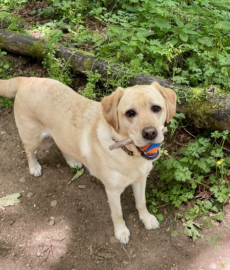 Entry image for Paige. Clicking this image will show a larger photo