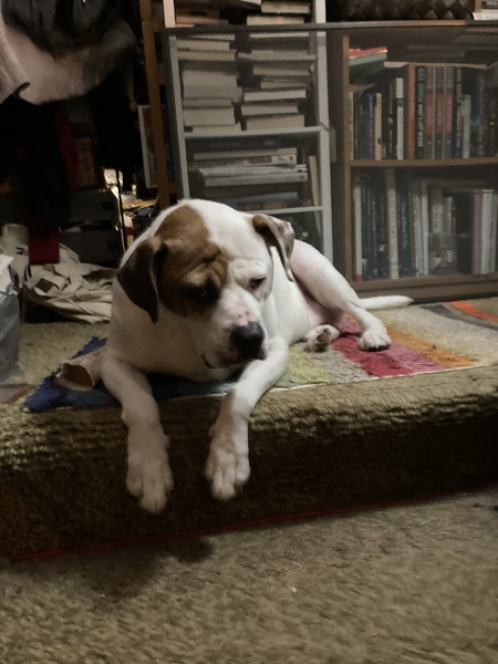 Entry image for Rufus Tuttle. Clicking this image will show a larger photo