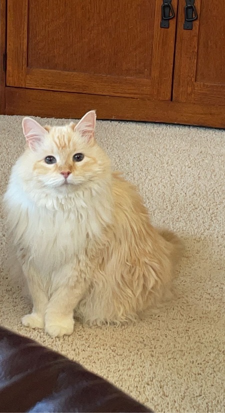 Entry image for Holly. Clicking this image will show a larger photo