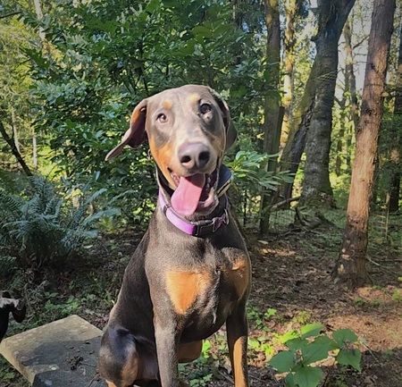 Entry image for  Franco . Clicking this image will show a larger photo