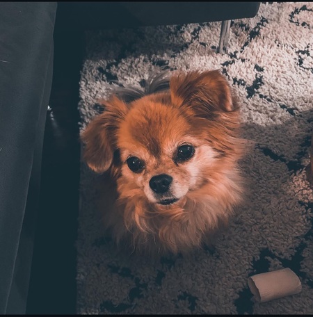 Entry image for Alice. Clicking this image will show a larger photo