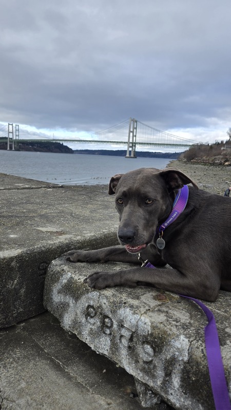 Entry image for Lynette Montgomery . Clicking this image will show a larger photo