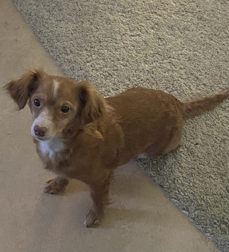 Entry image for Faith. Clicking this image will show a larger photo