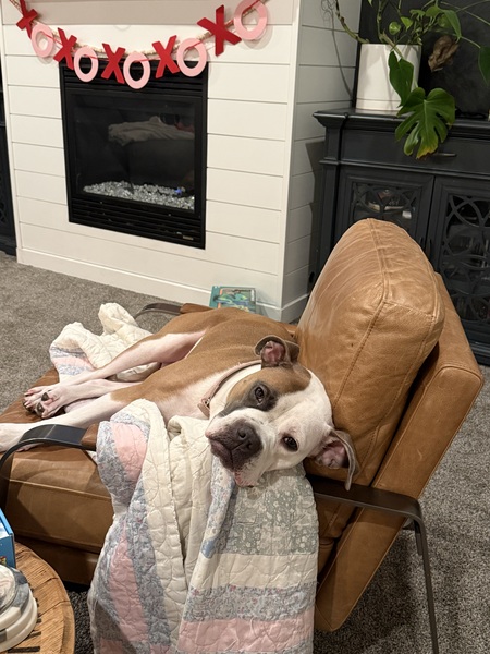 Entry image for Addie Mae. Clicking this image will show a larger photo