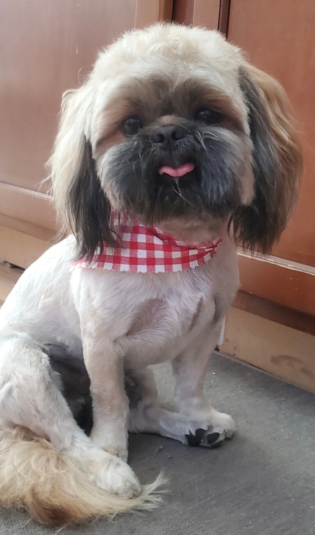 Entry image for Tuggy Bear. Clicking this image will show a larger photo