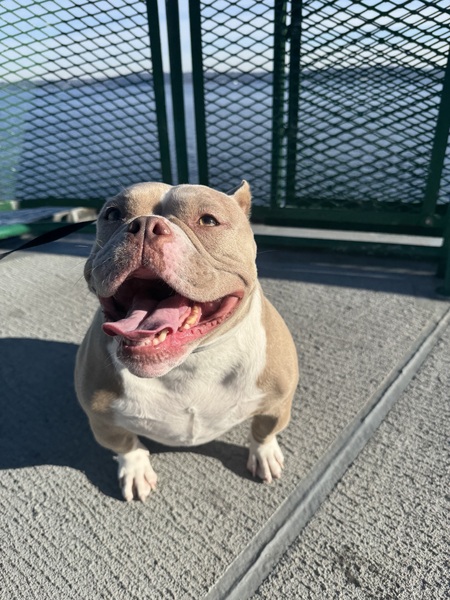 Entry image for Tina. Clicking this image will show a larger photo