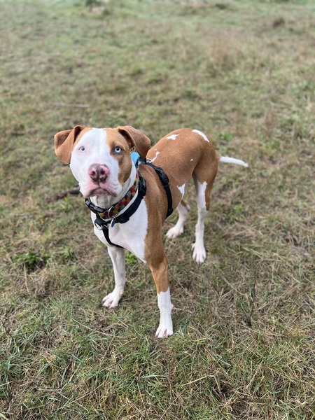 Entry image for Bruce. Clicking this image will show a larger photo