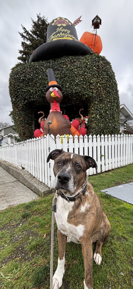 Entry image for Kam. Clicking this image will show a larger photo