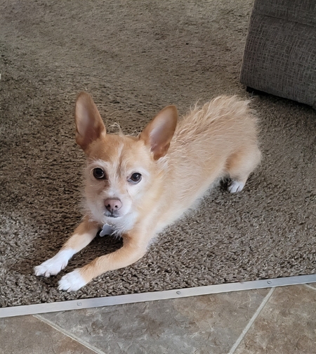 Entry image for Bonney. Clicking this image will show a larger photo