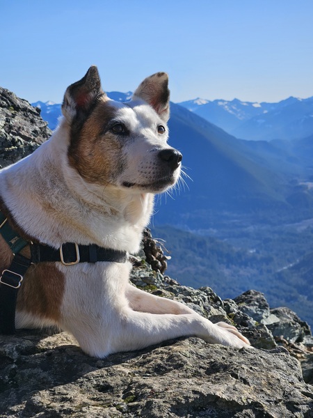 Entry image for Keller. Clicking this image will show a larger photo