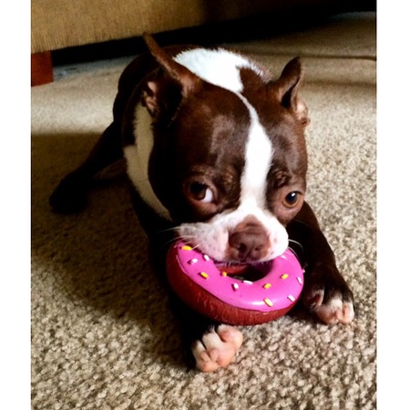"Donut worry, be happy" - Waffles
