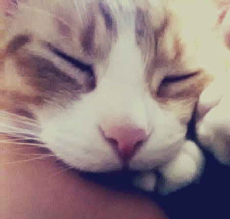 Amber