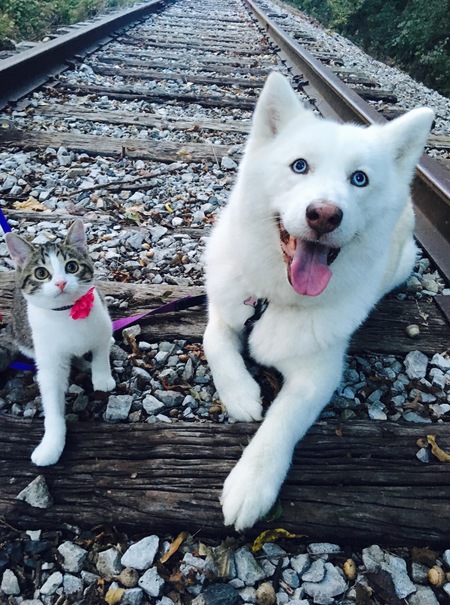 The Gal Pals- Jem and Pip 