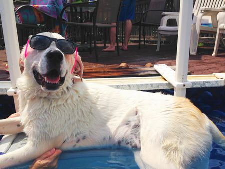 Juniper- "Too Cool"