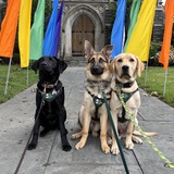 Entry image for Jerry, Plato, Ruck