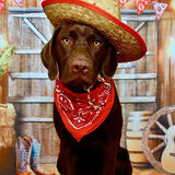 Entry image for Fudge