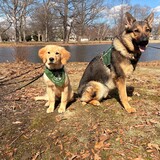 Entry image for Paisley and Baxter
