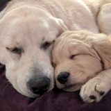 Entry image for Quinn and Reza