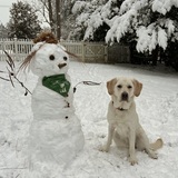Entry image for Gweny