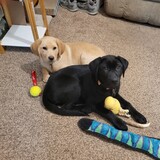 Entry image for Lyssie and Luciano