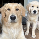 Entry image for Jackson and Elmo