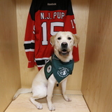 Entry image for N.J.