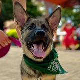 Entry image for Ultra