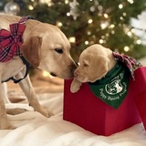 Entry image for Heather and Dottie