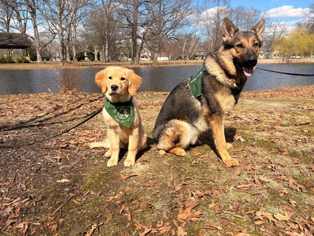 Entry image for Paisley and Baxter. Clicking this image will show a larger photo